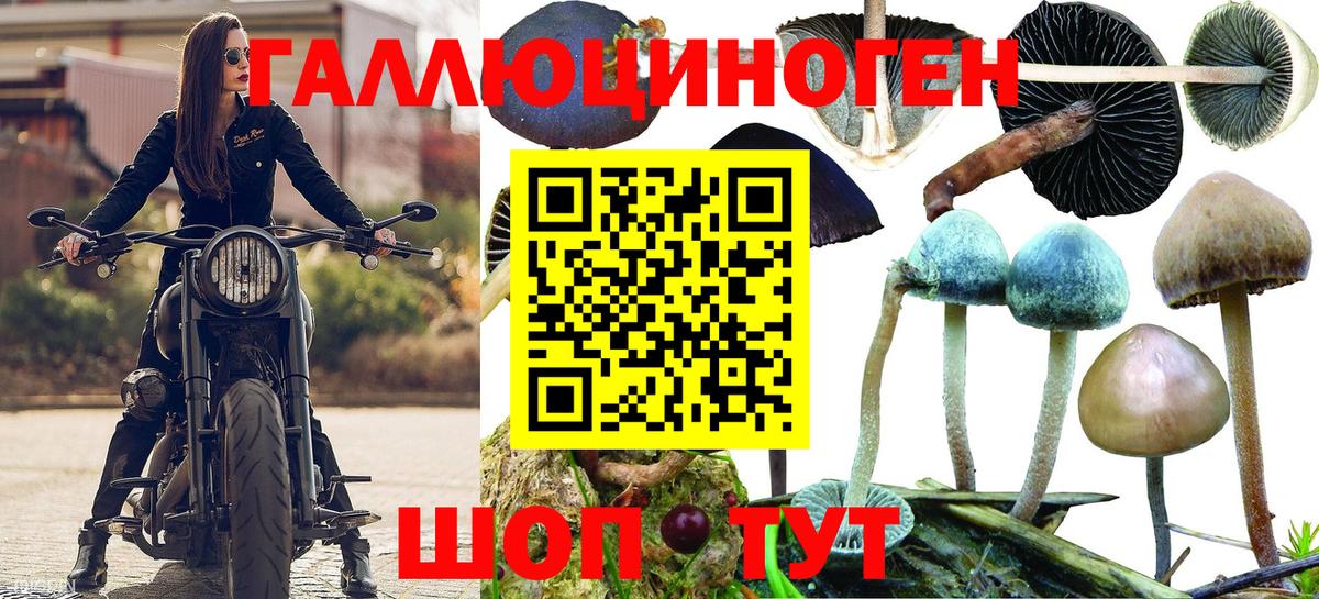 Ялуторовск  Галлюциногенные грибы мухоморы  Галлюциногенные грибы MAGIC MUSHROOMS  Вход с VPN 